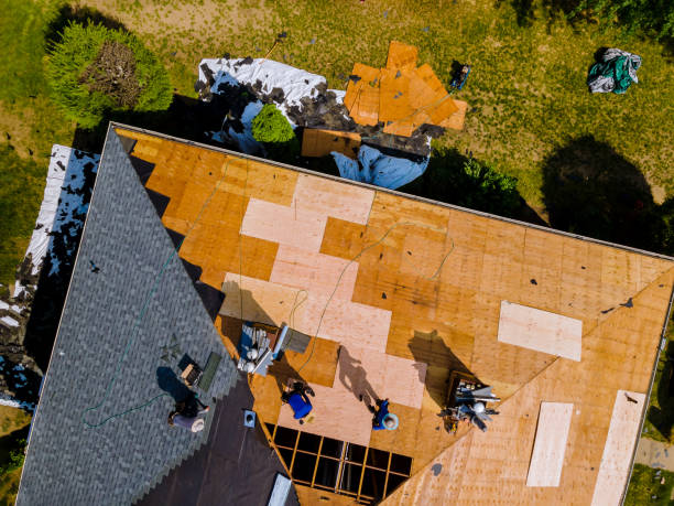 Best Flat Roof Repair Services  in Lmdale, PA